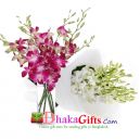 orchid flower price in bangladesh