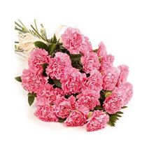 Send Twelve Pink Carnations to Dhaka in Bangladesh