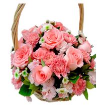 Send Carnations Basket to Dhaka in Bangladesh