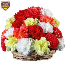 Send Colorful Carnations Basket to Dhaka in Bangladesh