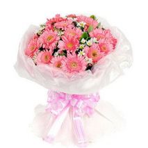 Send 19 Pink Gerbera with White Small Flower to Dhaka in Bangladesh