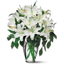 Send 12 Stalks White lilies with Green to Dhaka in Bangladesh