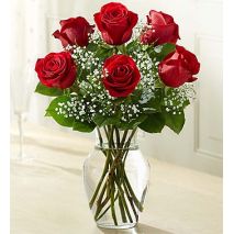 Send 6 Red Roses in FREE vase to Dhaka in Bangladesh