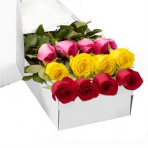 12 Mixed Color Roses in Box to Dhaka