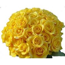 Send 100 Yellow Roses in Bouquet to Dhaka