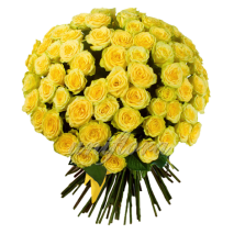 Send 36 Yellow Roses in Bouquet to Dhaka