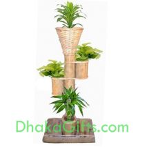 bamboo stand with live plants send to dhaka