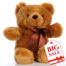 Send Small Teddy Bear to Dhaka