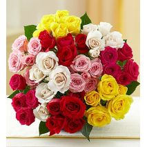 48 Mixed Color Roses Bouquet
