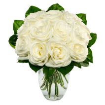 Send One Dozen White Roses to Dhaka in Bangladesh