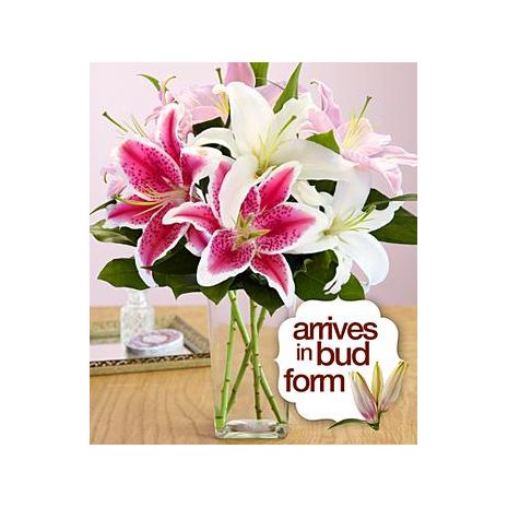 Send Spring Lilies bouquet to Dhaka in Bangladesh