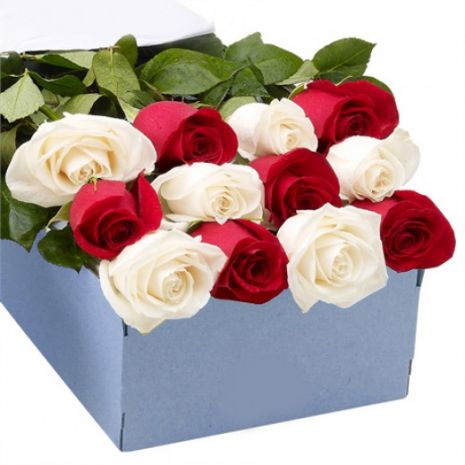 12 Red and White Roses in Box to Dhaka