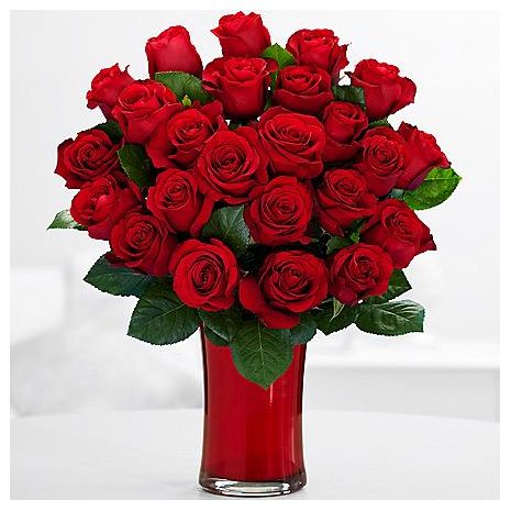 two dozen red roses in vase