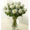 12 Long Stem White Roses send to dhaka